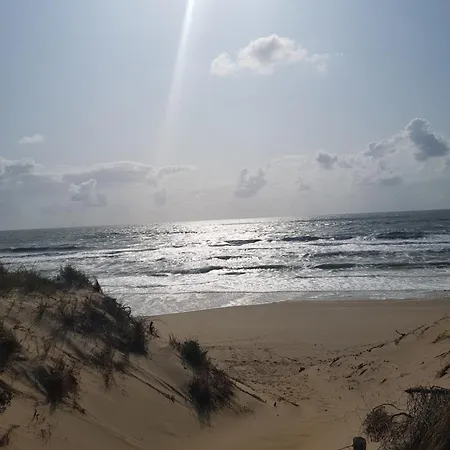 La Galerne *