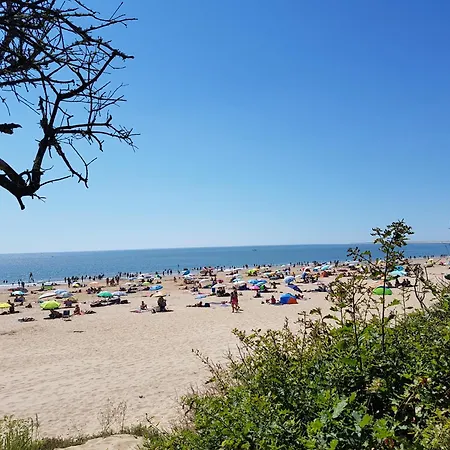 Holiday home La Galerne Montpellier-de-Medillan